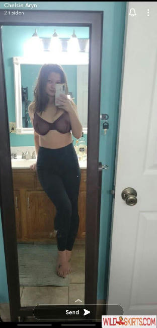 Chelsie Aryn / chelsiearyn nude OnlyFans, Instagram leaked photo #63