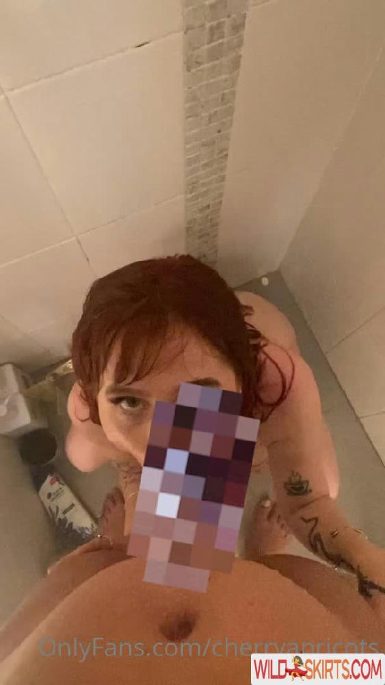 CherryApricots / cherryapricots / cherryapricotts / cherryapricottt / ginger nympho nude OnlyFans, Instagram leaked photo #15