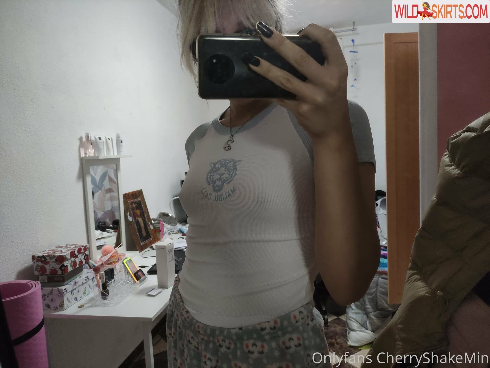 CherryShakeMin nude leaked photo #53