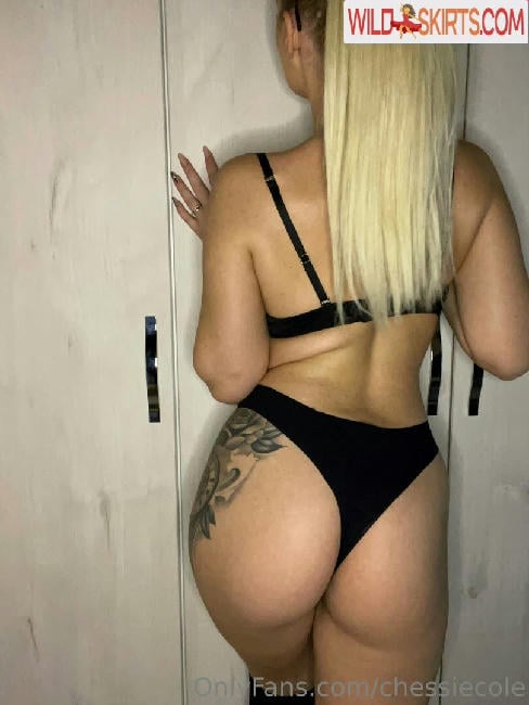 chessiecole / chessiecole / chessiekettle nude OnlyFans, Instagram leaked photo #169