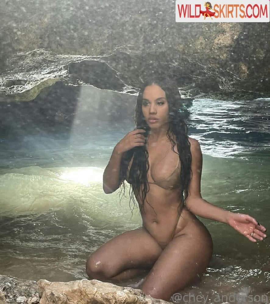 Chey Anderson / chey_anderson / cheyanderson nude OnlyFans, Instagram leaked photo #46