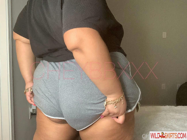 cheybbxxx nude OnlyFans leaked photo #20