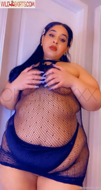 cheybbxxx nude OnlyFans leaked photo #117