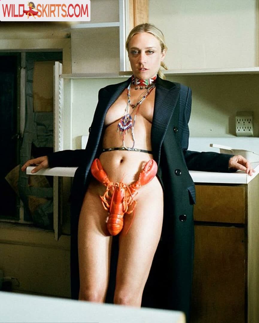 Chloe Sevigny / chloessevigny nude Instagram leaked photo #3