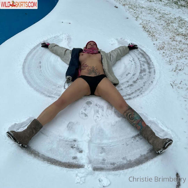 Christie Brimberry / christiebrimberry / gas Monkey / gmgchristie nude OnlyFans, Instagram leaked photo #104