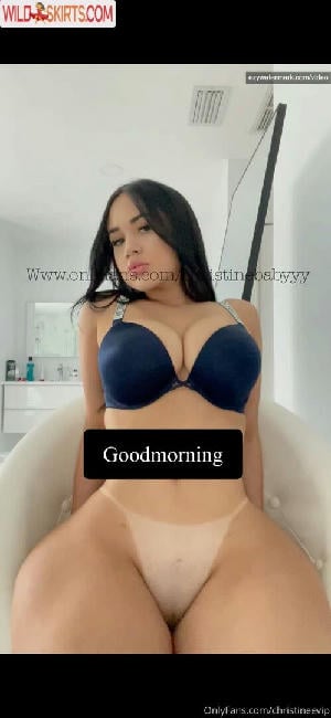 christineevip / christinebabygg / christineevip nude OnlyFans, Instagram leaked photo #143