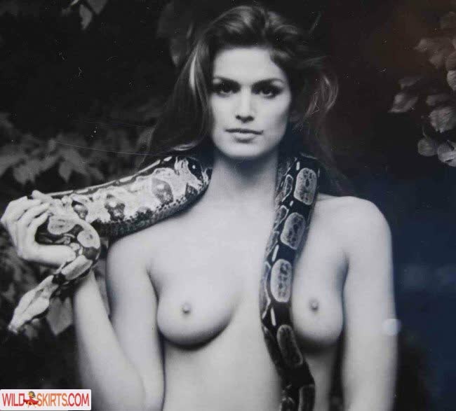 Cindy Crawford nude leaked photo #45