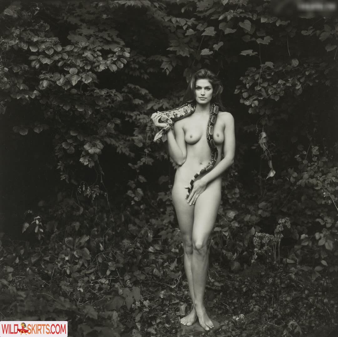 Cindy Crawford nude leaked photo #220