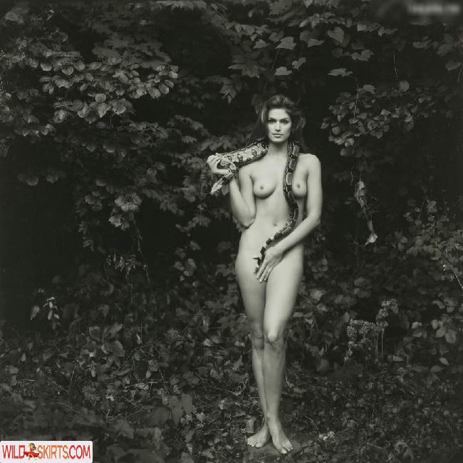 Cindy Crawford / cindycrawford / cindycrawfordrealxxx nude OnlyFans, Instagram leaked photo #220