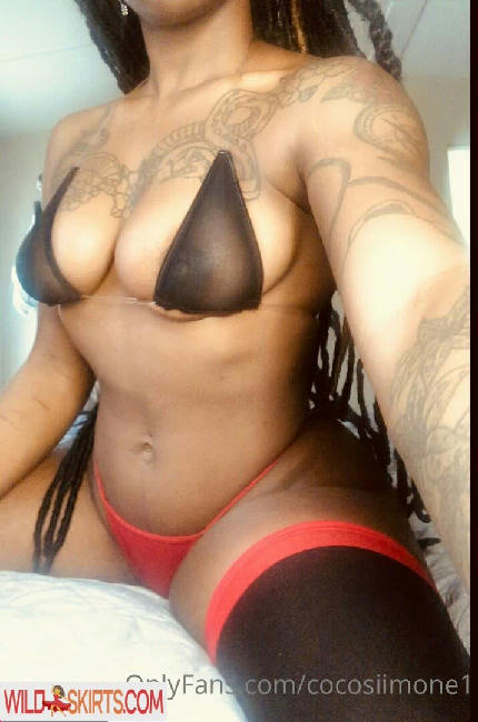 cocosiimone1 nude OnlyFans, Instagram leaked photo #36