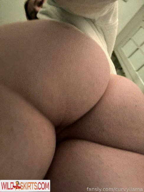 Curvyllama / curvyllama nude OnlyFans, Instagram leaked photo #119