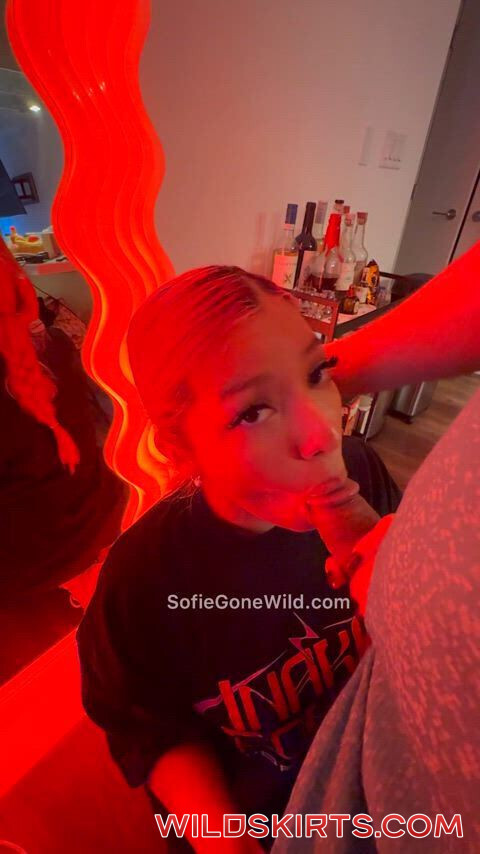 Sofiegonewild / Fueledbystoners / SofieGostosa / onlylittlesofie / sofiegonewild nude OnlyFans, Instagram leaked video #409