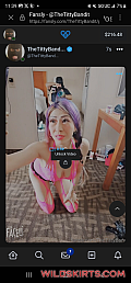 THE TITTY BANDIT avatar
