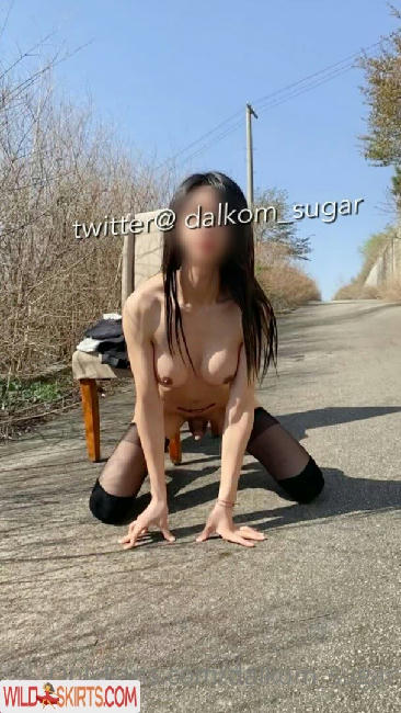 Dalkom_sugar / dalcom.pe.kr / dalkom_sugar / slslhee nude OnlyFans, Instagram leaked photo #4