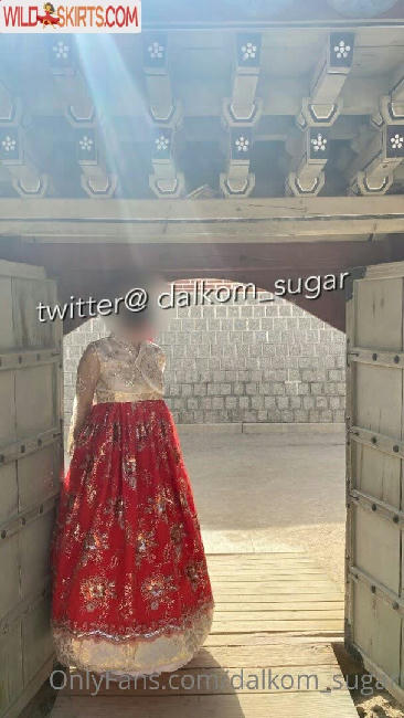 Dalkom_sugar / dalcom.pe.kr / dalkom_sugar / slslhee nude OnlyFans, Instagram leaked photo #36