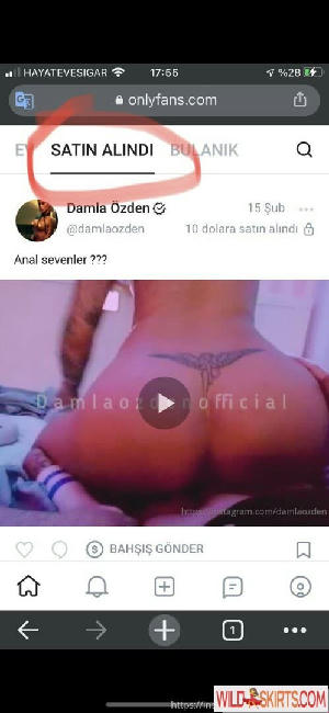 damlaozden / damlaozden / damlazdn nude OnlyFans, Instagram leaked photo #10