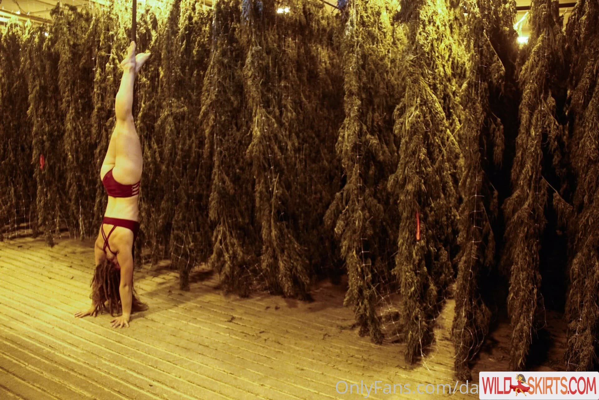 Danceincannabis nude leaked photo #35