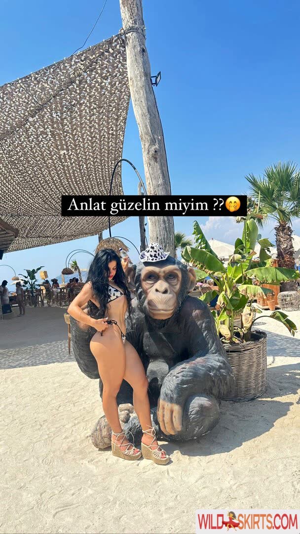 Dilara Deniz / ddilaradeniz / diilaraadnz nude OnlyFans, Instagram leaked photo #66