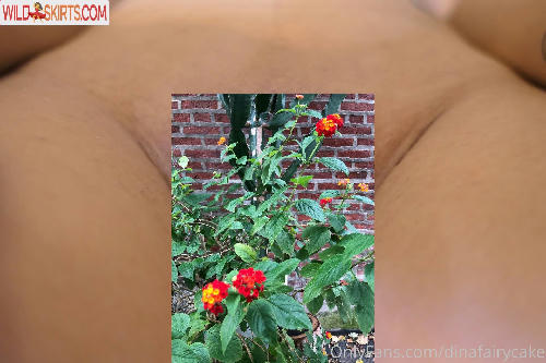 Dinafairycake nude leaked photo #41