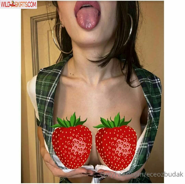 Ece Seda Ozbudak / eceozbudak / eceozbudak7 nude OnlyFans, Instagram leaked photo #92