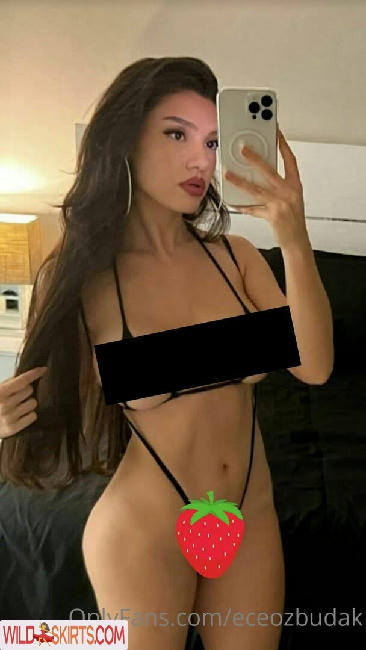 Ece Seda Ozbudak / eceozbudak / eceozbudak7 nude OnlyFans, Instagram leaked photo #83