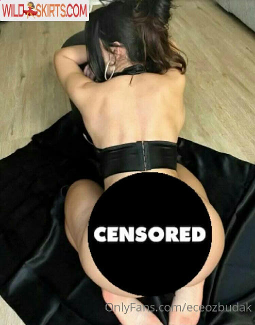 eceozbudak nude OnlyFans, Instagram leaked photo #100