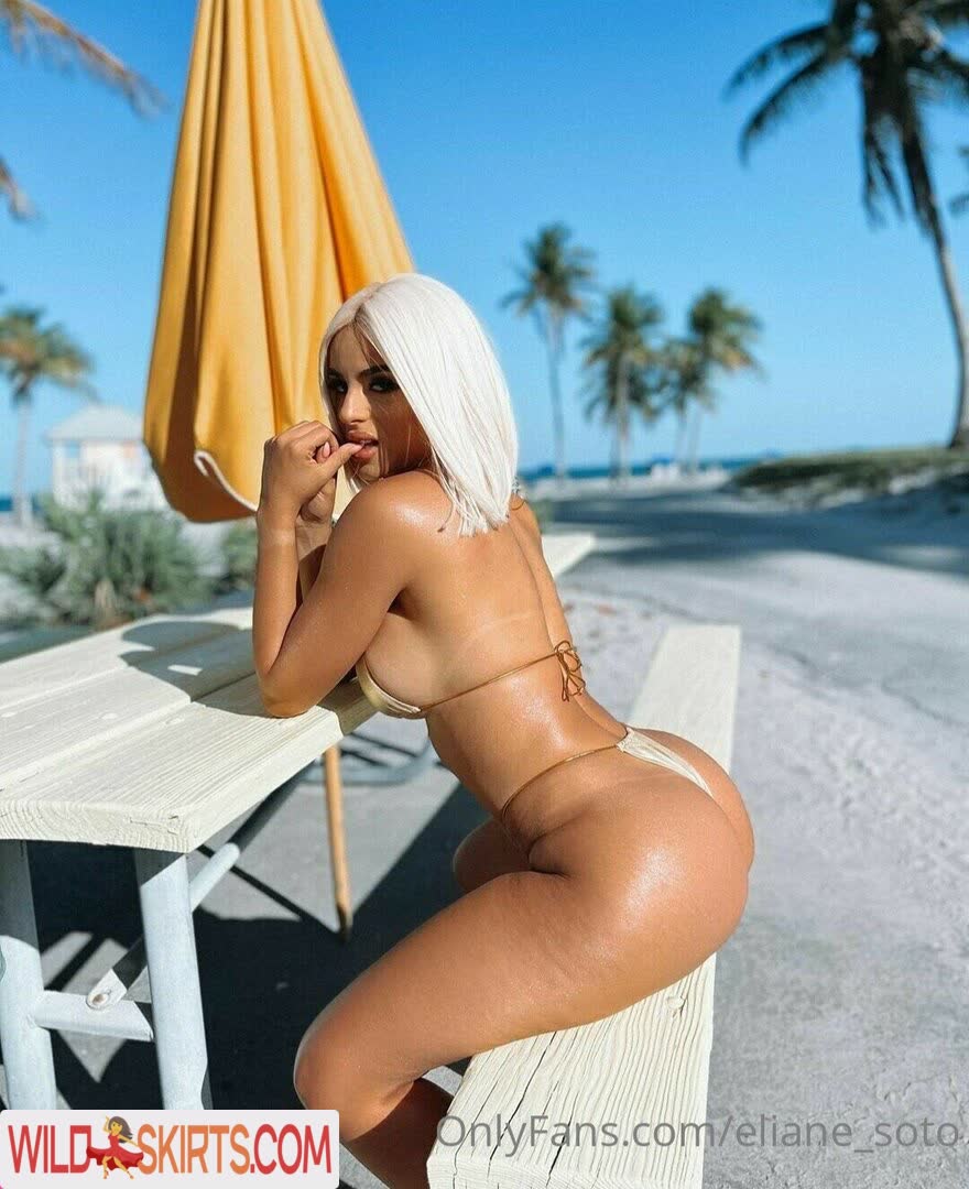 Eliane Soto / eliane_soto / sotoeliane_95 nude OnlyFans, Instagram leaked photo #7