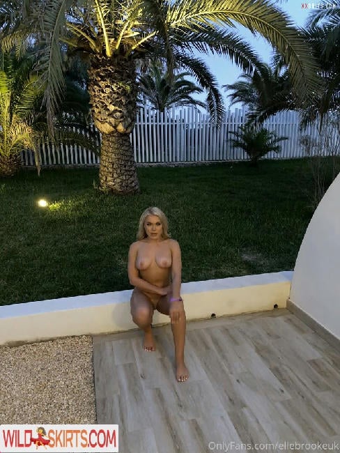 Elle Brooke / ellebrookeuk / thedumbledong nude OnlyFans, Instagram leaked photo #250