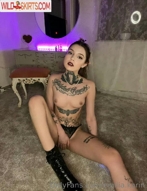 emilia.karin nude OnlyFans, Instagram leaked photo #11