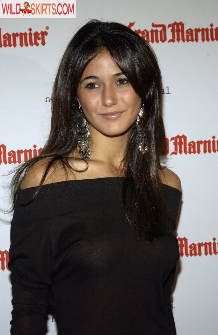 Emmanuelle Chriqui nude leaked photo #196