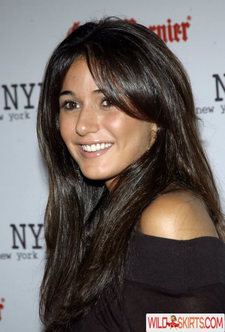 Emmanuelle Chriqui nude leaked photo #199