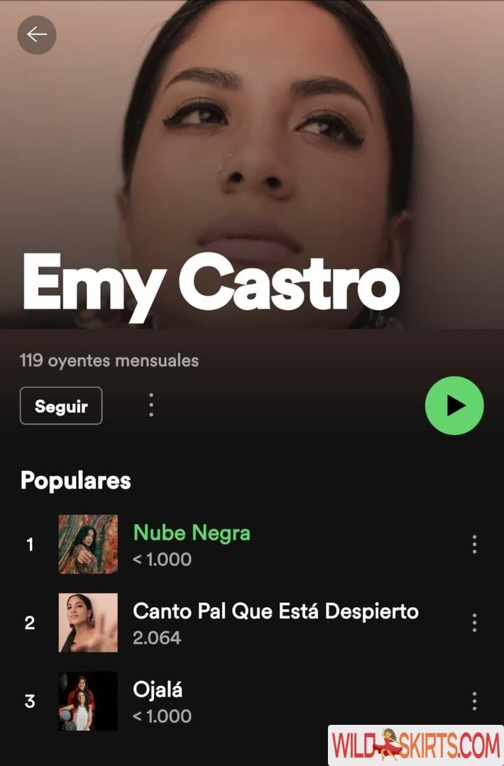 Emycastromusic / emycastromusic nude OnlyFans, Instagram leaked photo #5