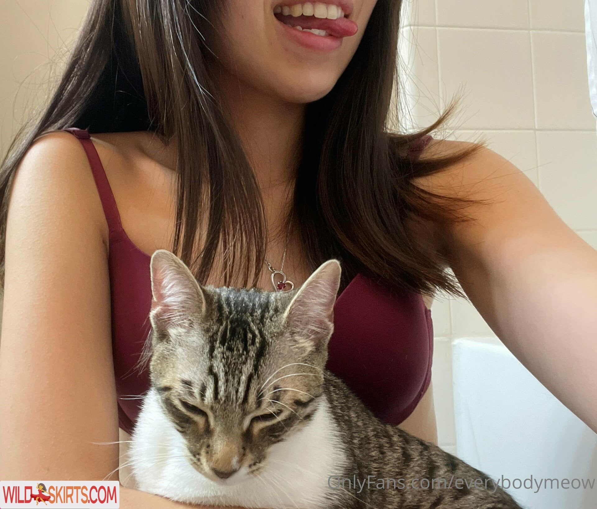 everybodymeow / everybodymeow / lordbowserthecat nude OnlyFans, Instagram leaked photo #2