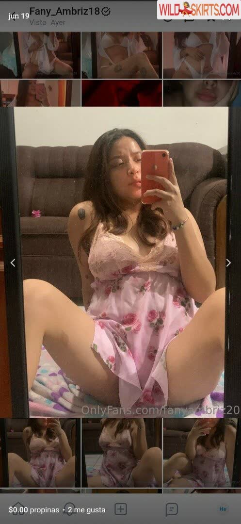 fanyambriz20 / Fany_Ambriz18 / fanyambriz20 / liz_05_dixson nude OnlyFans, Instagram leaked photo #6