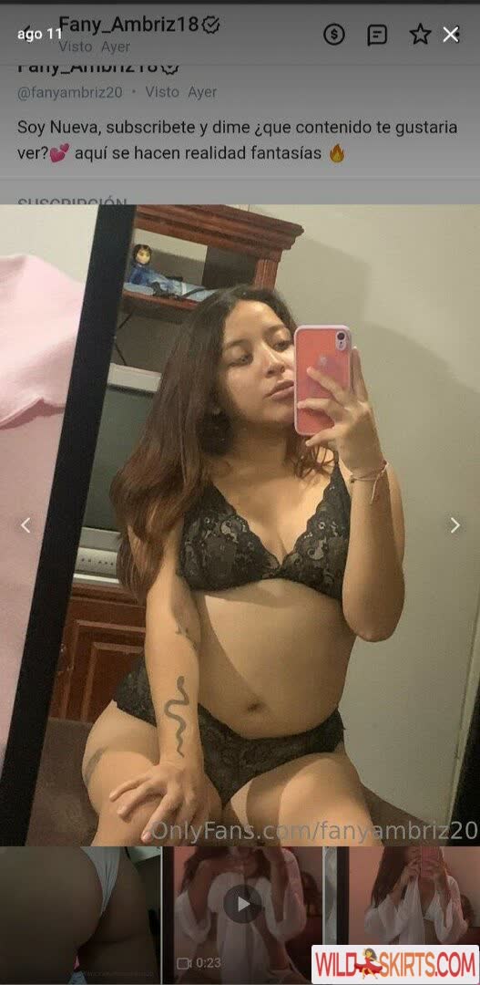 fanyambriz20 / Fany_Ambriz18 / fanyambriz20 / liz_05_dixson nude OnlyFans, Instagram leaked photo