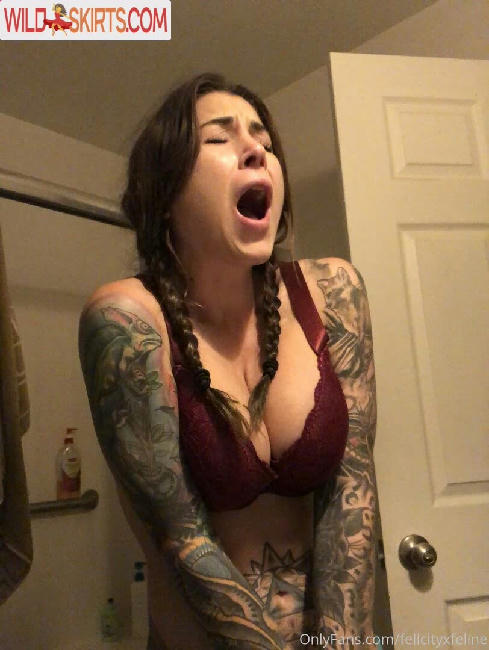 felicityfeline / felicityfeline / felicityfelineofficial nude OnlyFans, Instagram leaked photo #11