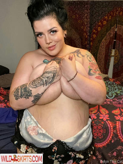 felyxthecat / felyxthecat / me0wminx nude OnlyFans, Instagram leaked photo #23