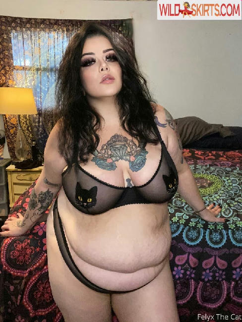 felyxthecat / felyxthecat / me0wminx nude OnlyFans, Instagram leaked photo #29