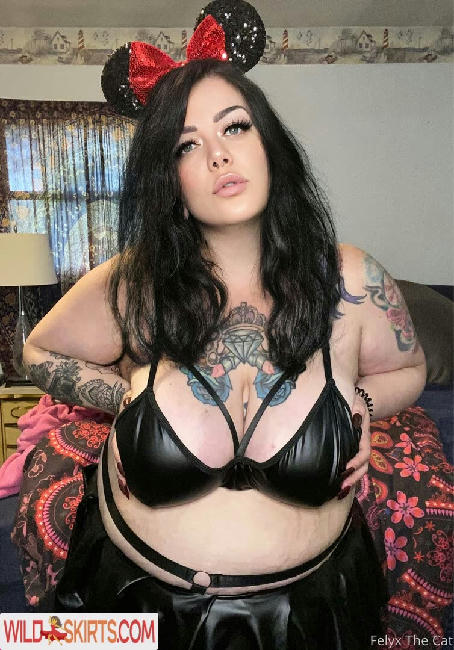 felyxthecat / felyxthecat / me0wminx nude OnlyFans, Instagram leaked photo #64