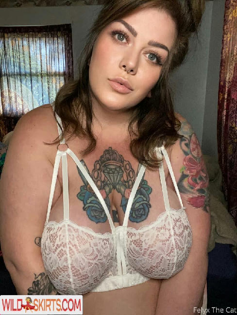 felyxthecat / felyxthecat / me0wminx nude OnlyFans, Instagram leaked photo #96