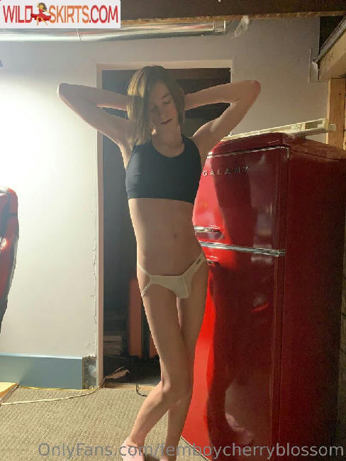 femboycherryblossom nude OnlyFans, Instagram leaked photo #143