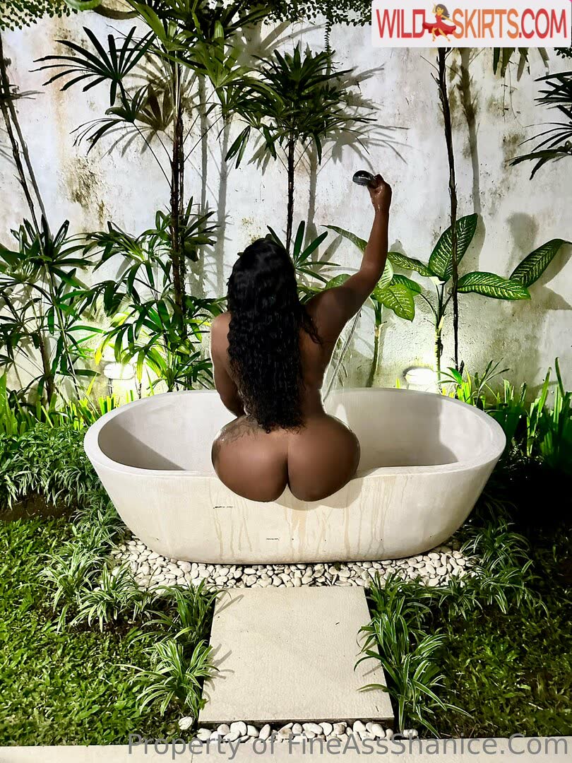 fineassshanice nude OnlyFans, Instagram leaked photo #11