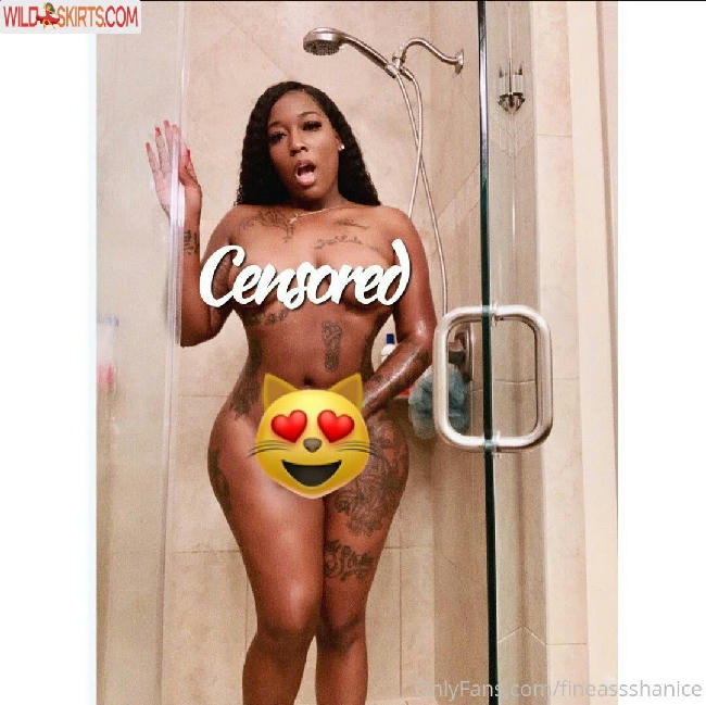 fineassshanice nude OnlyFans, Instagram leaked photo #25