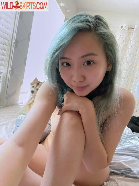 freesugarcookies nude OnlyFans leaked photo #8