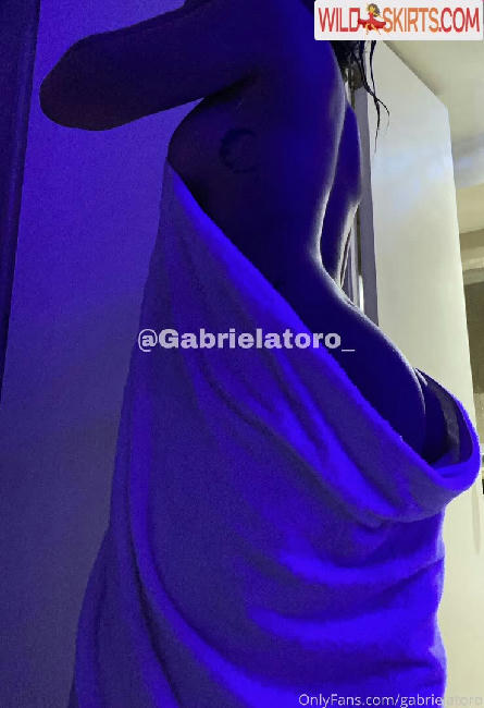 Gabriela Toro / gabrielatoro / gabrielatoro11 nude OnlyFans, Instagram leaked photo #8