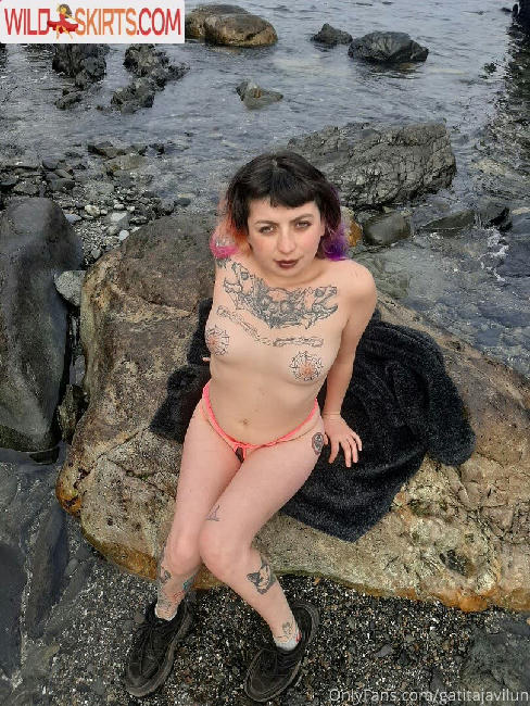 gatitajavilun / gatitajavilun / gatitajavilunn nude OnlyFans, Instagram leaked photo #33