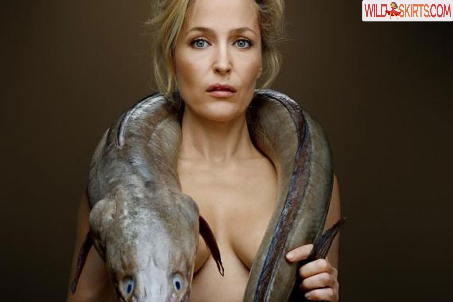 Gillian Anderson nude leaked photo #415