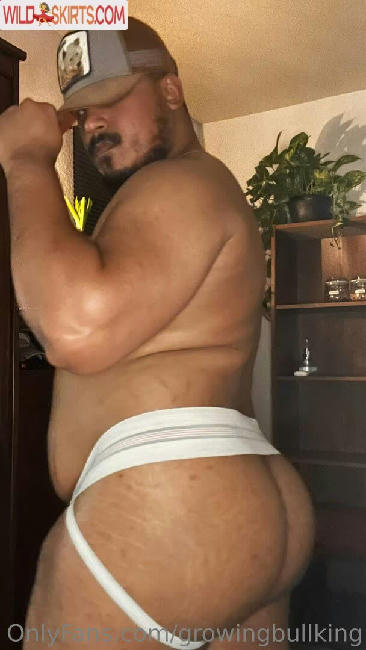 growingbullking / growingbullking / growingkings nude OnlyFans, Instagram leaked photo #4