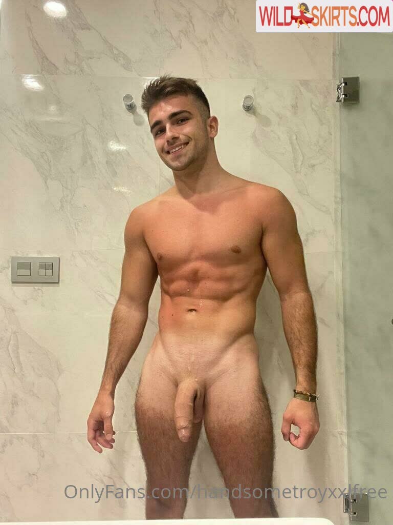 Handsometroyxxlfree nude leaked photo #6