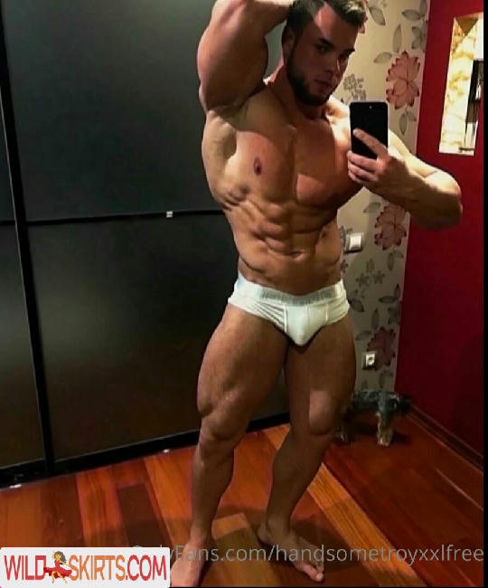 handsometroyxxlfree nude OnlyFans leaked photo #8